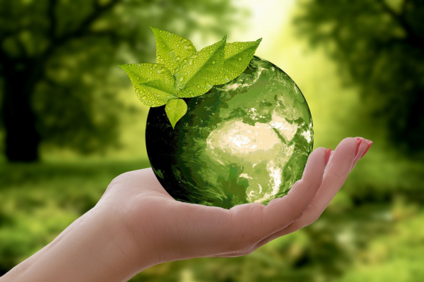 Quais são os Objetivos do Desenvolvimento Sustentável da ONU?