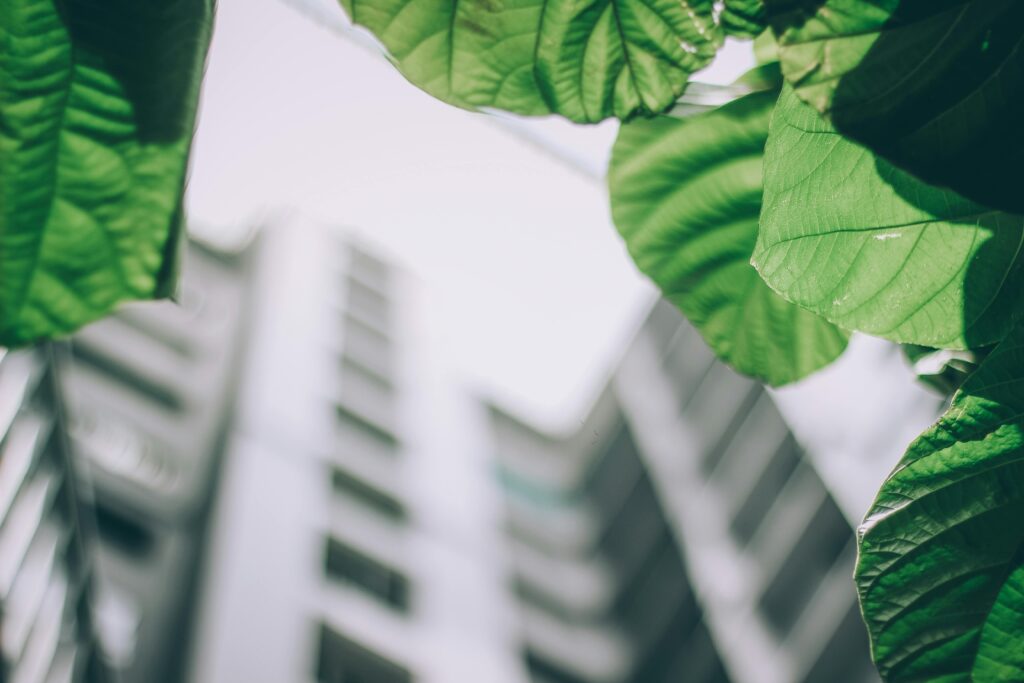 As vantagens da sustentabilidade empresarial